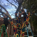 #YarnBombQC: Installation and Unveiling by Augustana College, Rock Island Illinois